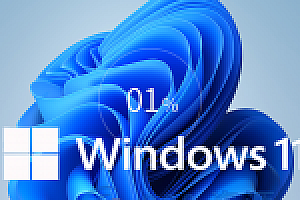【Windows11】 64位专业版系统下载